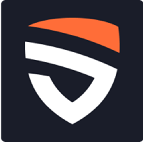 New Paradigm Security logotipo