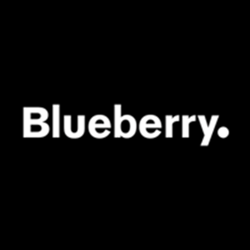 Blueberry logotipo