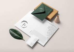 Orange Bird Proyecto -