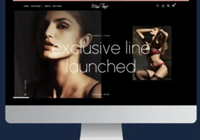 AGENTIE SEO PRO Proyecto -