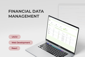 Innowise Proyecto - Gestión de datos financieros: 90 % de facilidad de uso y flexibilidad