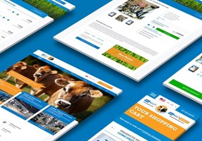 WHITE Digital Agency Proyecto -