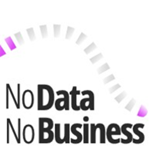 NoDataNoBusiness logotipo