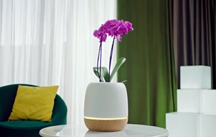 ONMOTIO Proyecto - Purificador de aire y jardinera inteligente KORU