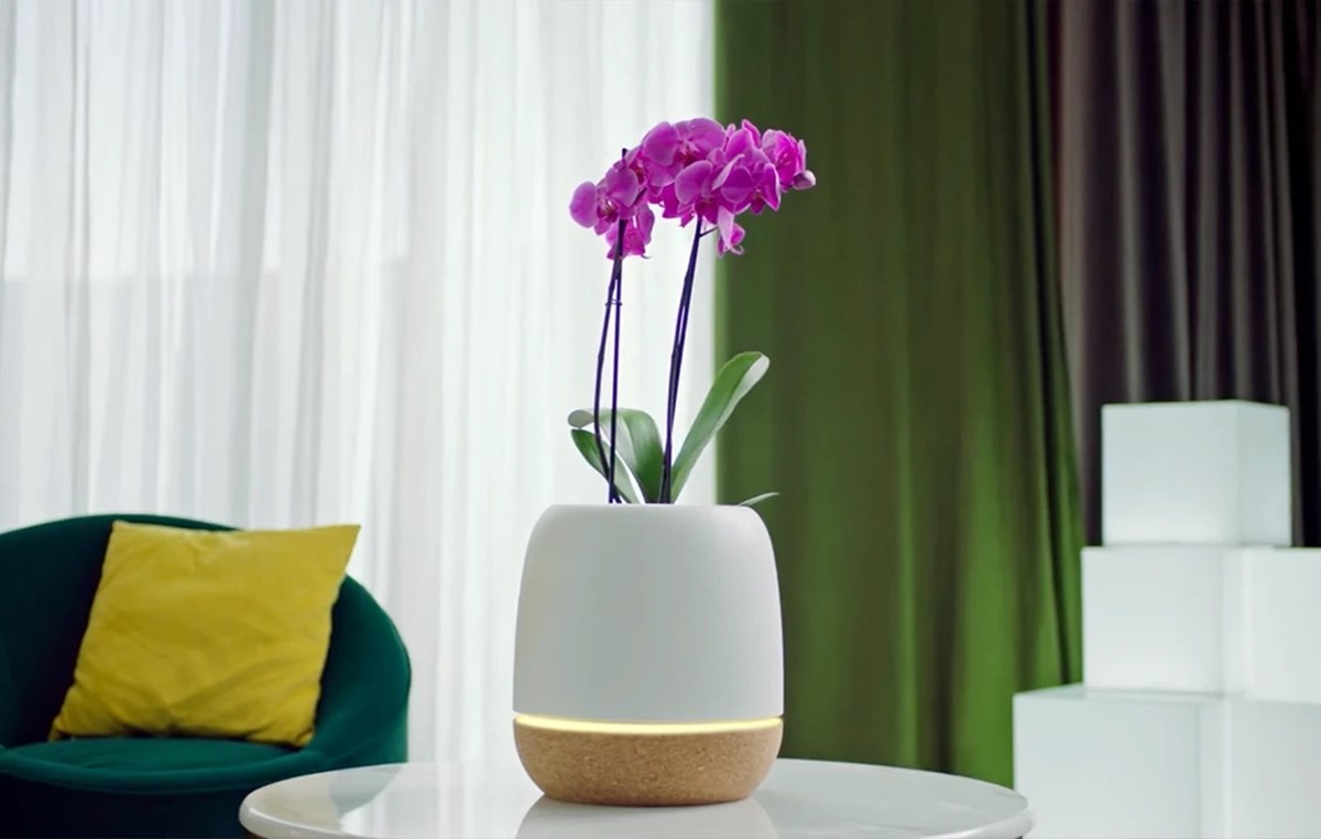 Purificador de aire y jardinera inteligente KORU