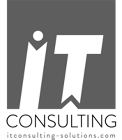 IT CONSULTING logotipo