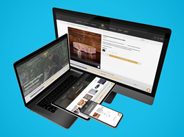 PulseConnect UG Proyecto - Creación de tienda Shopify y optimización SEO
