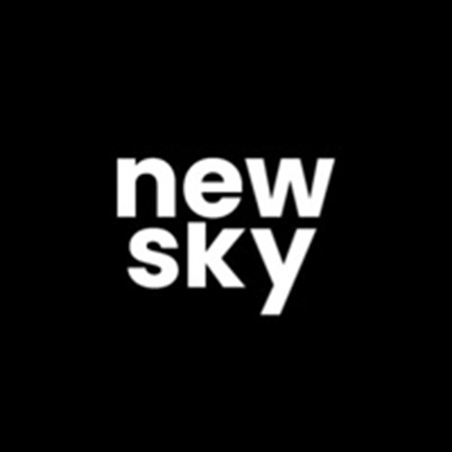 newskyagency logotipo
