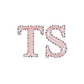 TS Technologies Logo