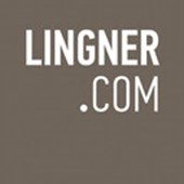 Lingner Consulting New Media Logo