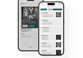 MentorMate Proyecto -