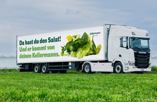 zurgams Kommunikationsagentur GmbH Proyecto - Renovación de marca