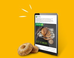 Melters Werbeagentur GmbH Proyecto - Redes sociales