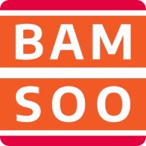 Agence Bamsoo logotipo