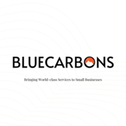 BLUECARBONS Digital Agency logotipo