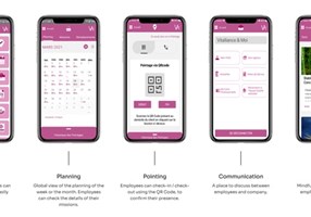 Dirox Proyecto -