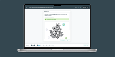 Bamboo Agile Proyecto - Reproductor QTI para exámenes