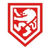 LION Branding Logo