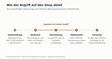 die mainagentur GmbH Proyecto - Análisis forense y base para cumplir el RGPD tras el hackeo de una tienda online