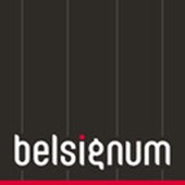 Belsignum Webagentur Logo