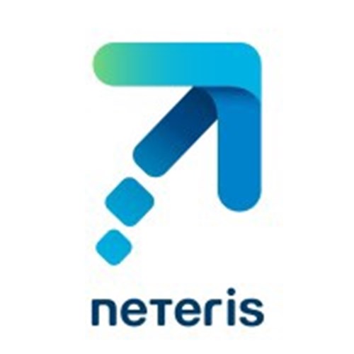 Neteris Consulting logotipo
