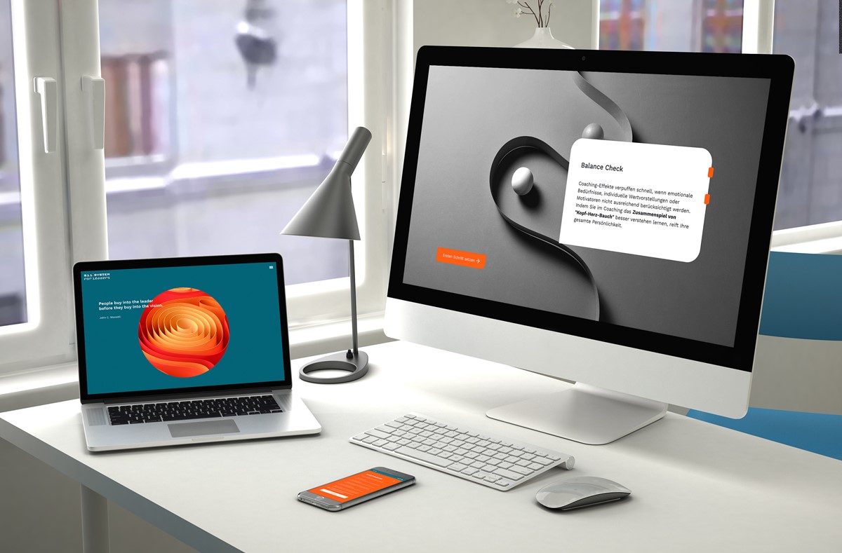 Branding & Web Design for S11 System