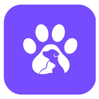 Inceptives Digital Proyecto - PawPal