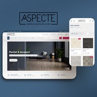 SC PRONET DESIGN SRL Proyecto - Aspecte.ro