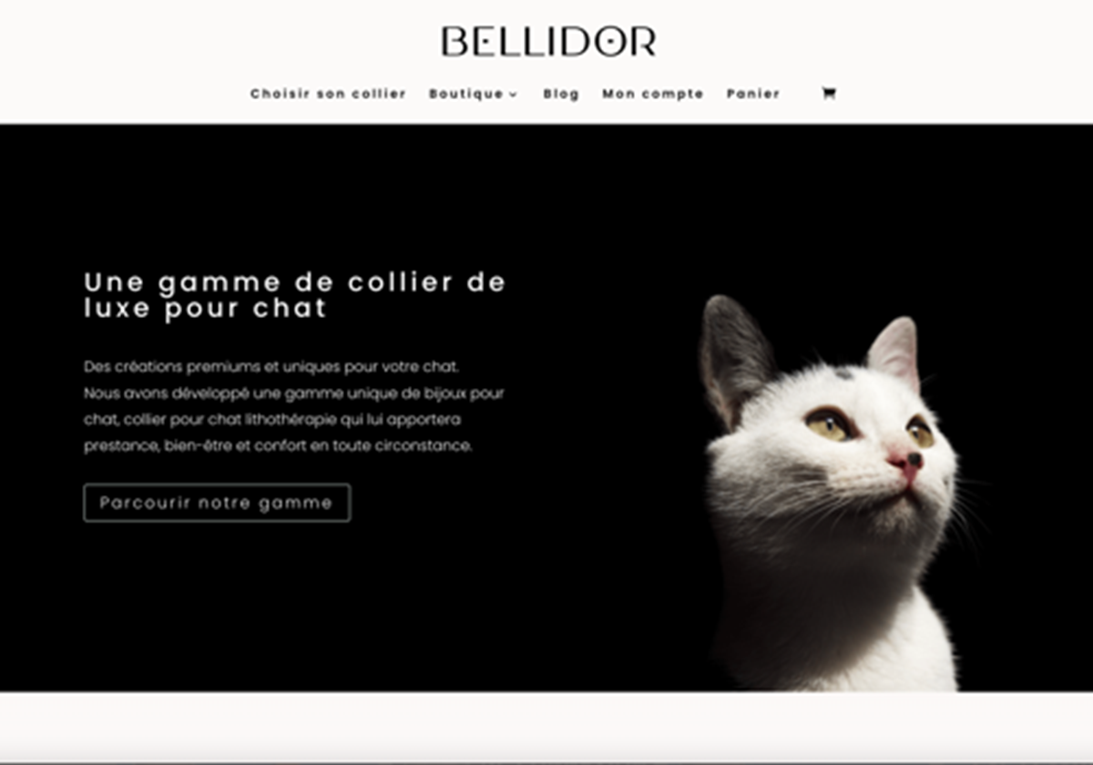  - Bellidor