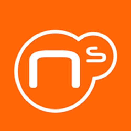 Netberry Solutions logotipo