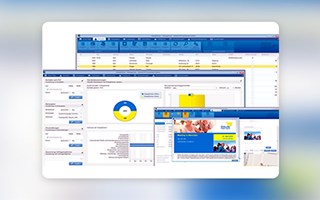 Chudovo OÜ Proyecto - Desarrollo de CRM político