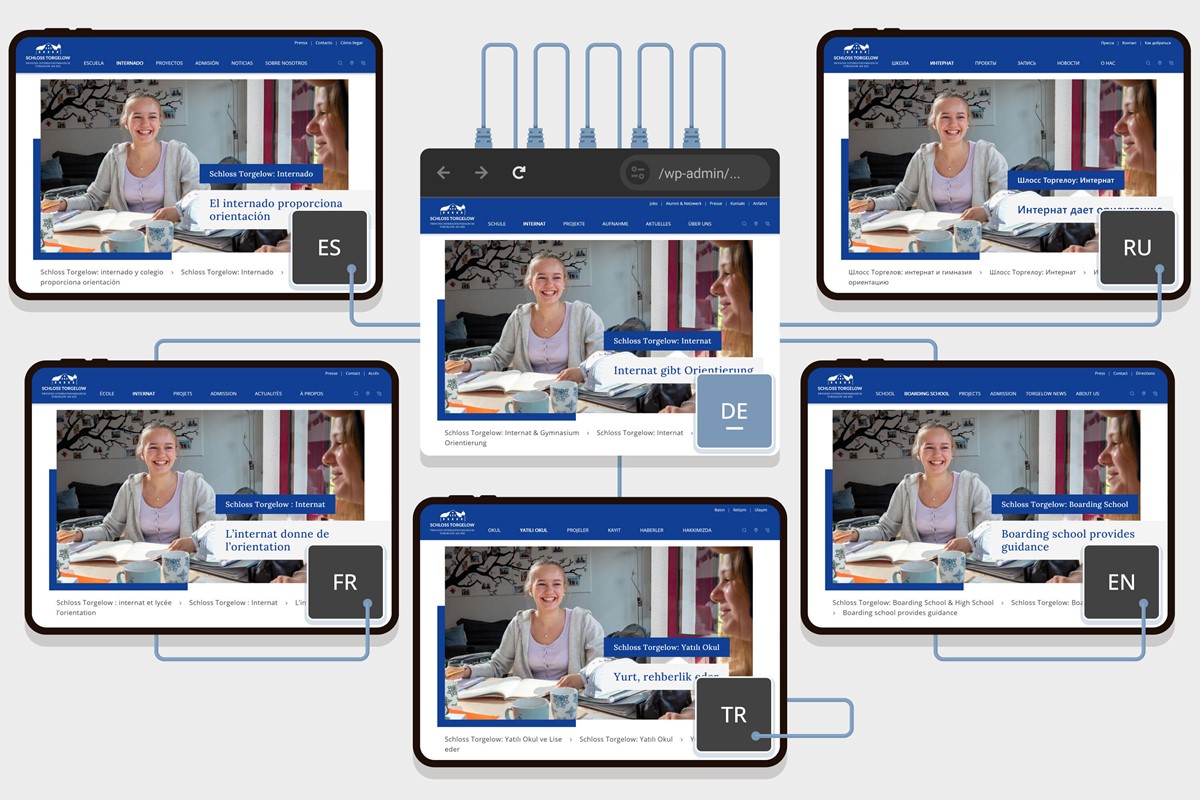 Multilingüismo, contenidos y chatbot con IA