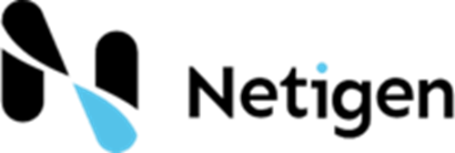 Netigen logotipo