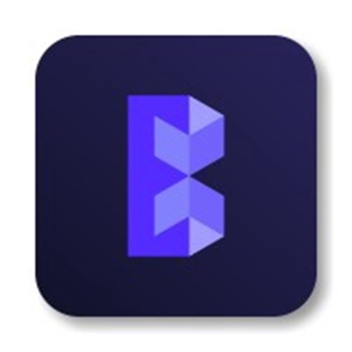 Blockchain Services Labs logotipo
