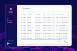 Dudka Agency Proyecto - Mimik