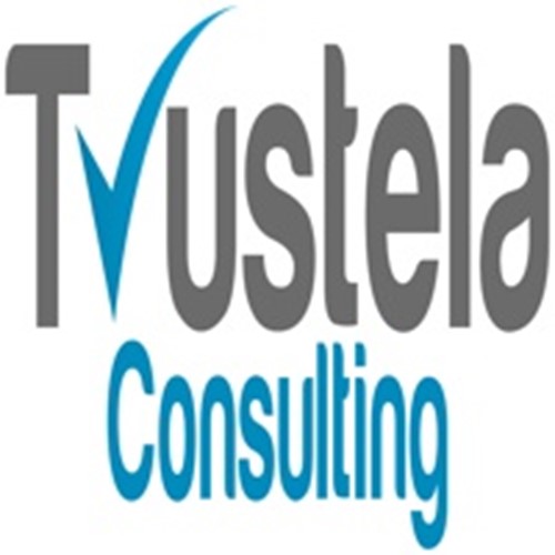 Trustela Consulting- Digital Marketing Agency in Florida USA logotipo