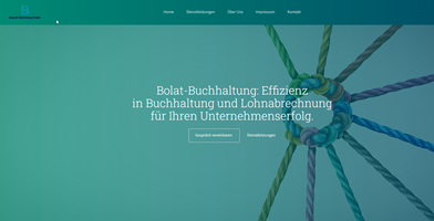 Buzzard-Webdesign Proyecto - Lanzamiento del sitio web