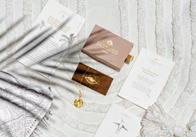 Ambiguo Design Proyecto -