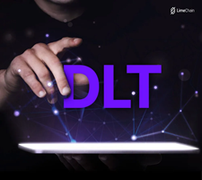 LimeChain Proyecto - Desarrollo de hashport, una nueva solución de interoperabilidad para Web3 basada en Hedera