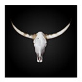 VIER FÜR TEXAS GmbH & Co. KG Logo