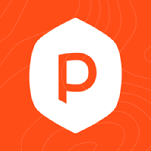 Peakfijn logotipo