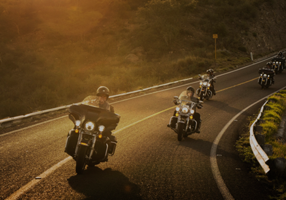  - Harley-Davidson