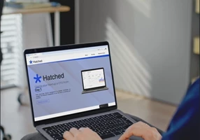 Two.Zero Proyecto - Hatched: página de aterrizaje con Elementor y mantenimiento continuo