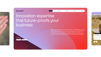 Webwavers Proyecto - Seconds