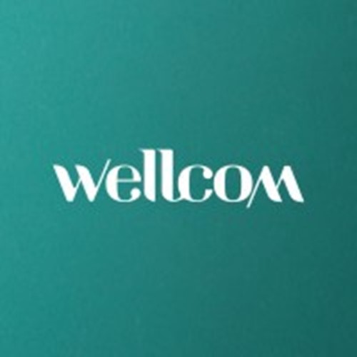 Wellcom logotipo
