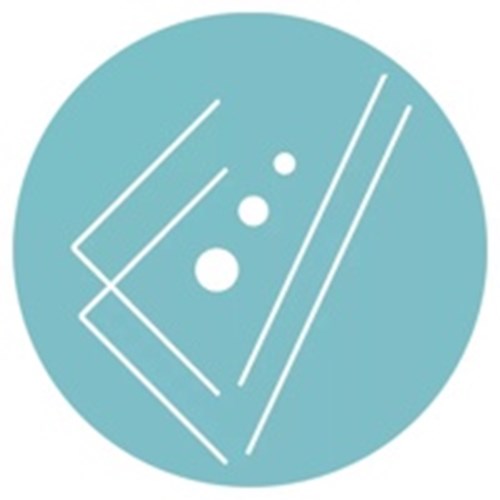 Pacto Visual logotipo