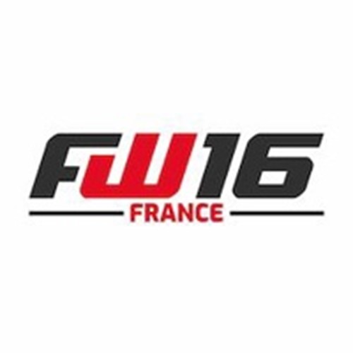 Freelanceweb16 (FW16) logotipo