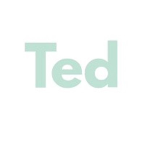 TED Consulting logotipo