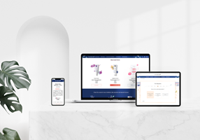 Blue Paprika Proyecto -