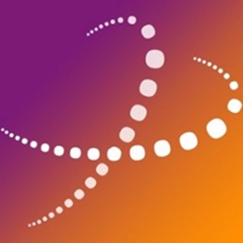 ViaXoft logotipo